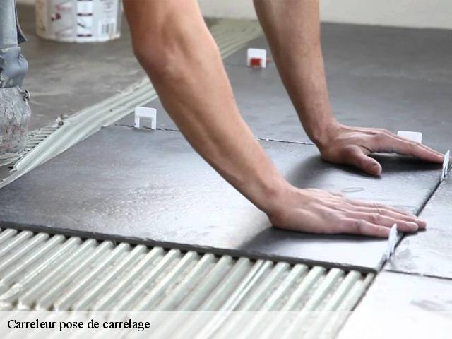 Carreleur pose de carrelage  91470