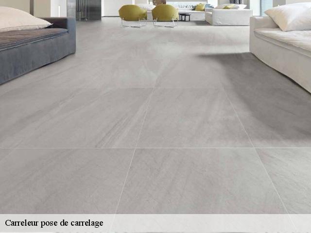 Carreleur pose de carrelage  91690