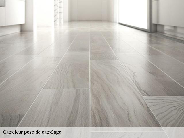 Carreleur pose de carrelage  91690