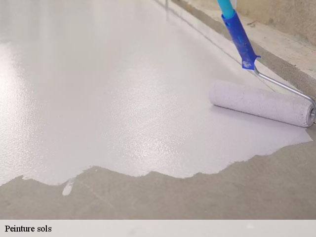 Peinture sols  91440