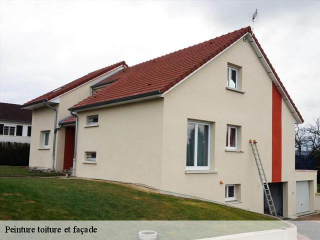 Peinture toiture et façade  91910